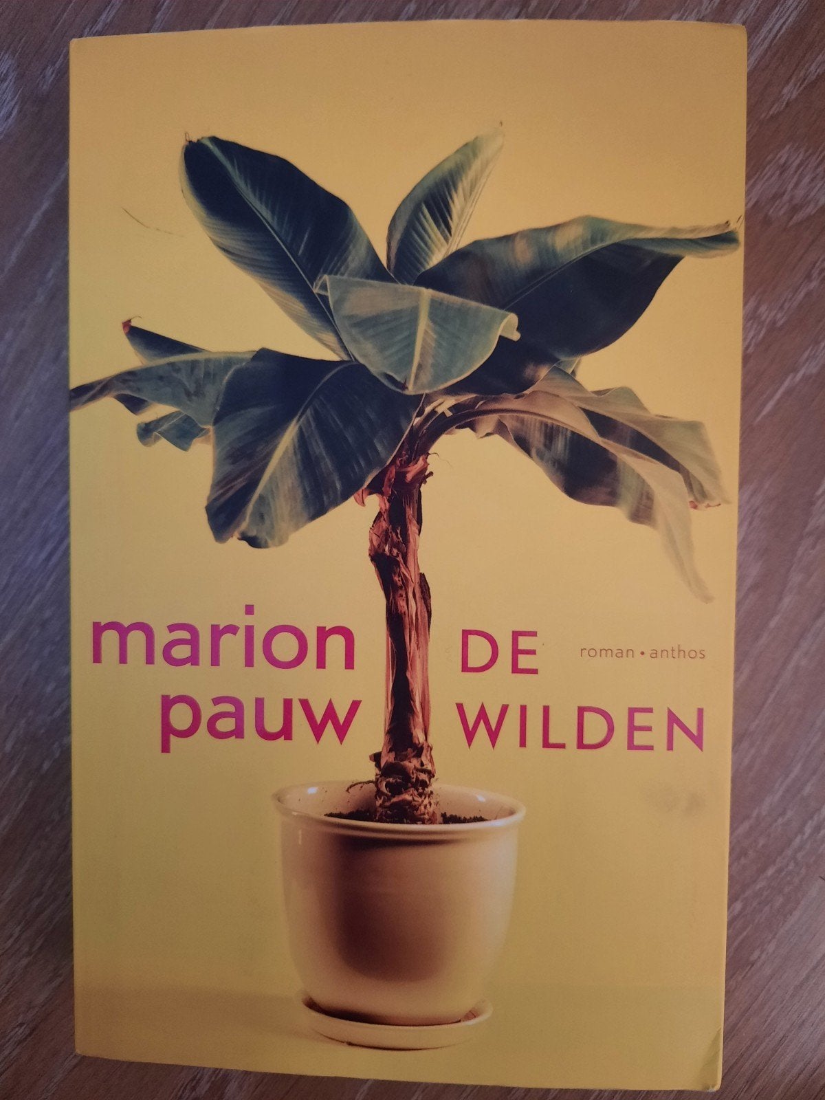 Marion Pauw- DE WILDEN, Marion Pauw, Ophalen of Verzenden, Zo goed als nieuw, Nederland