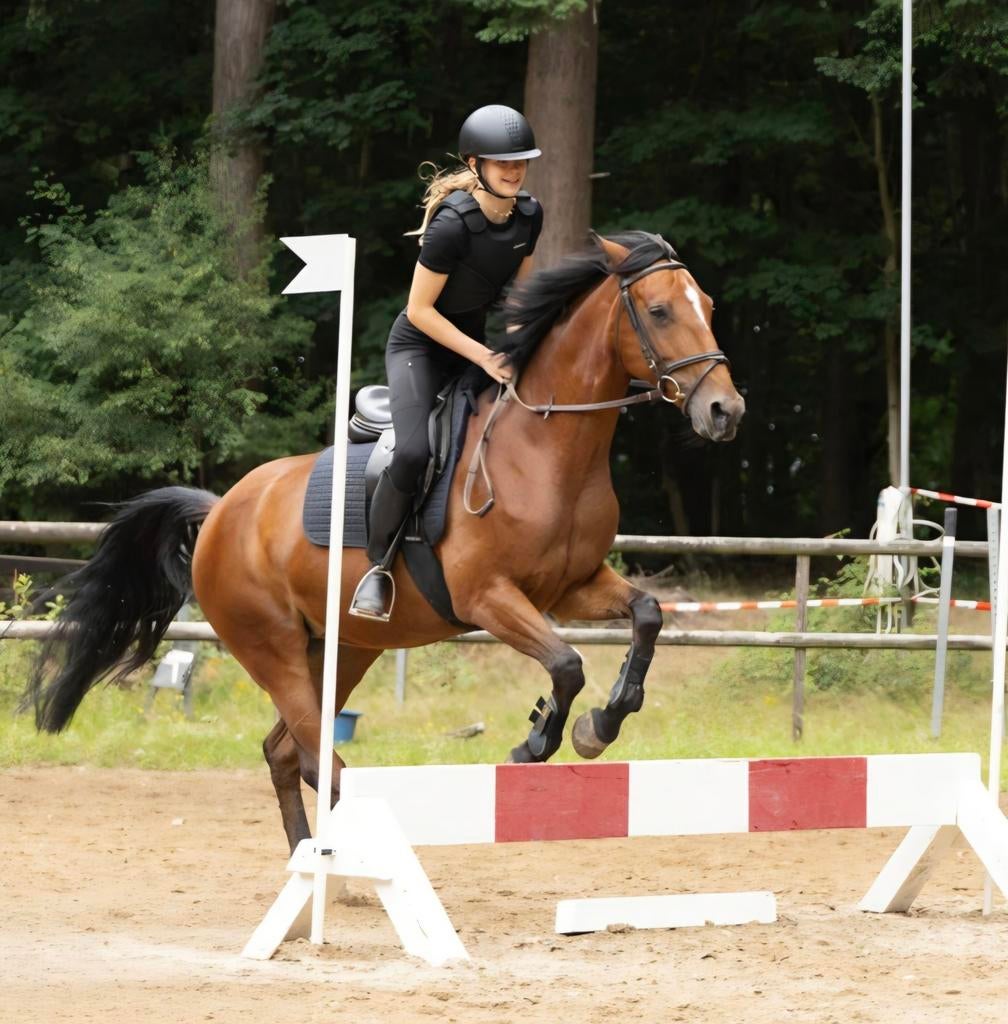 Verzorgster aangeboden, Dieren en Toebehoren, Ophalen of Verzenden