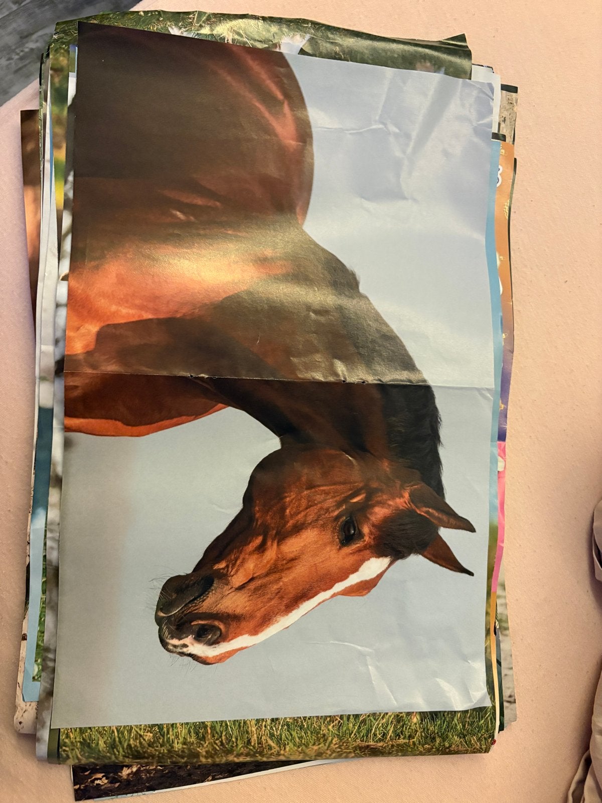 100 verschillende Penny paardenposters, Verzamelen, Verzenden, A4 of kleiner, Dier of Natuur, Rechthoekig Staand