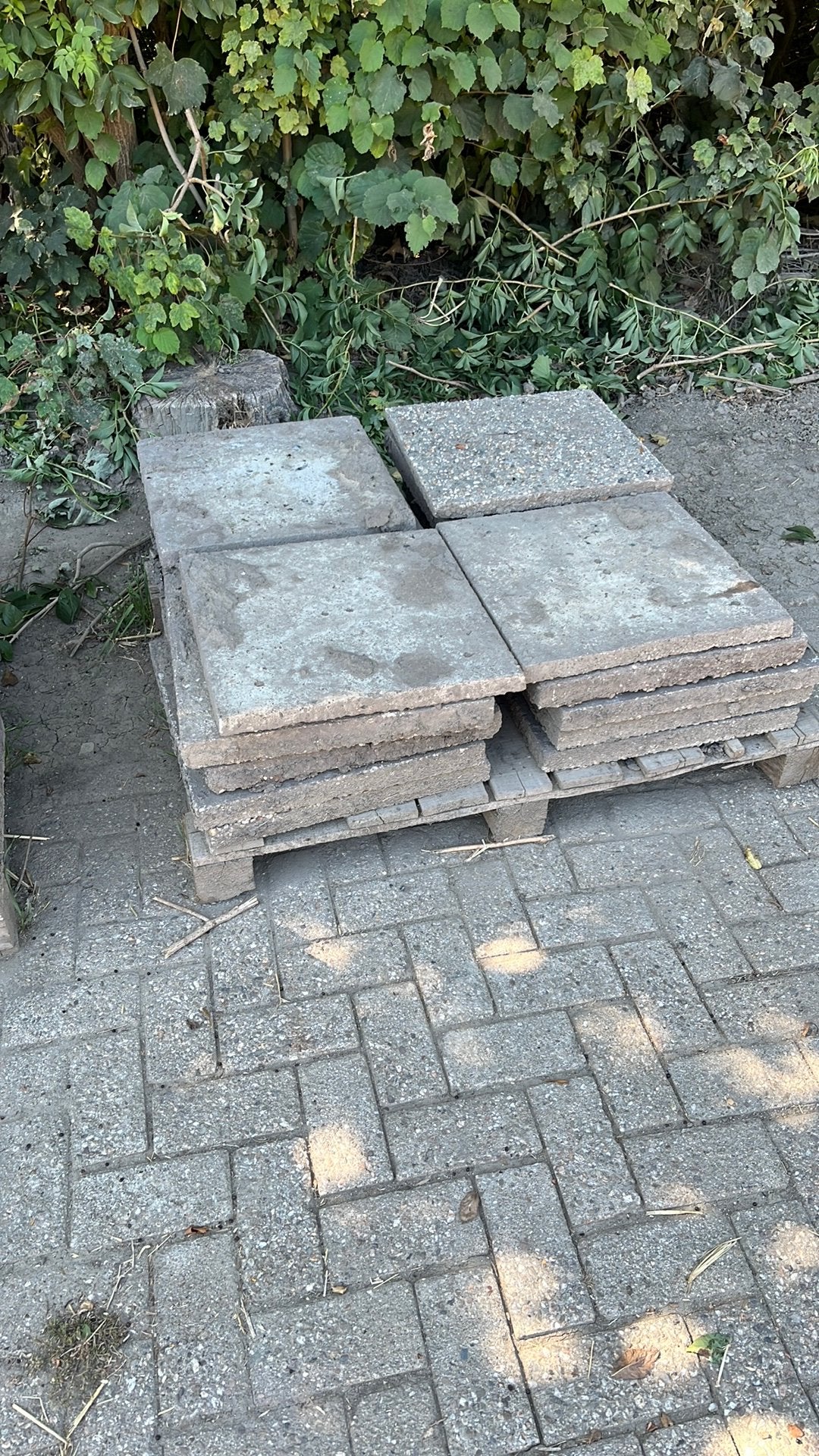 Gratis tegels, Ophalen, Gebruikt, Beton, Terrastegels