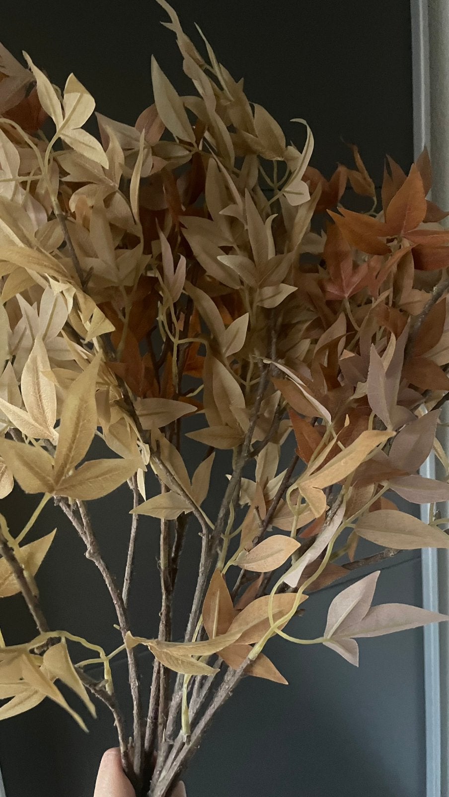 Decoratie takken 6 stuks, Huis en Inrichting, Woonaccessoires | Droogbloemen, Ophalen, Zo goed als nieuw