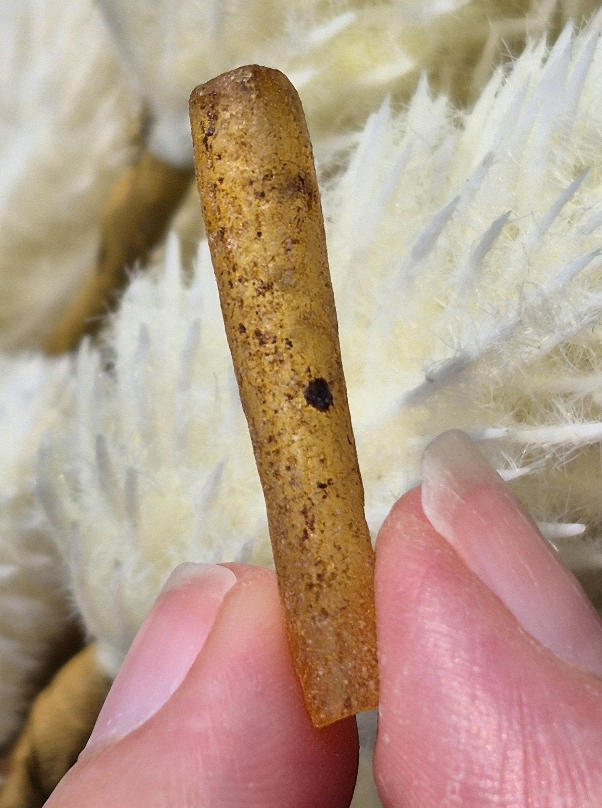Copal/ Jonge Amber, Ophalen of Verzenden