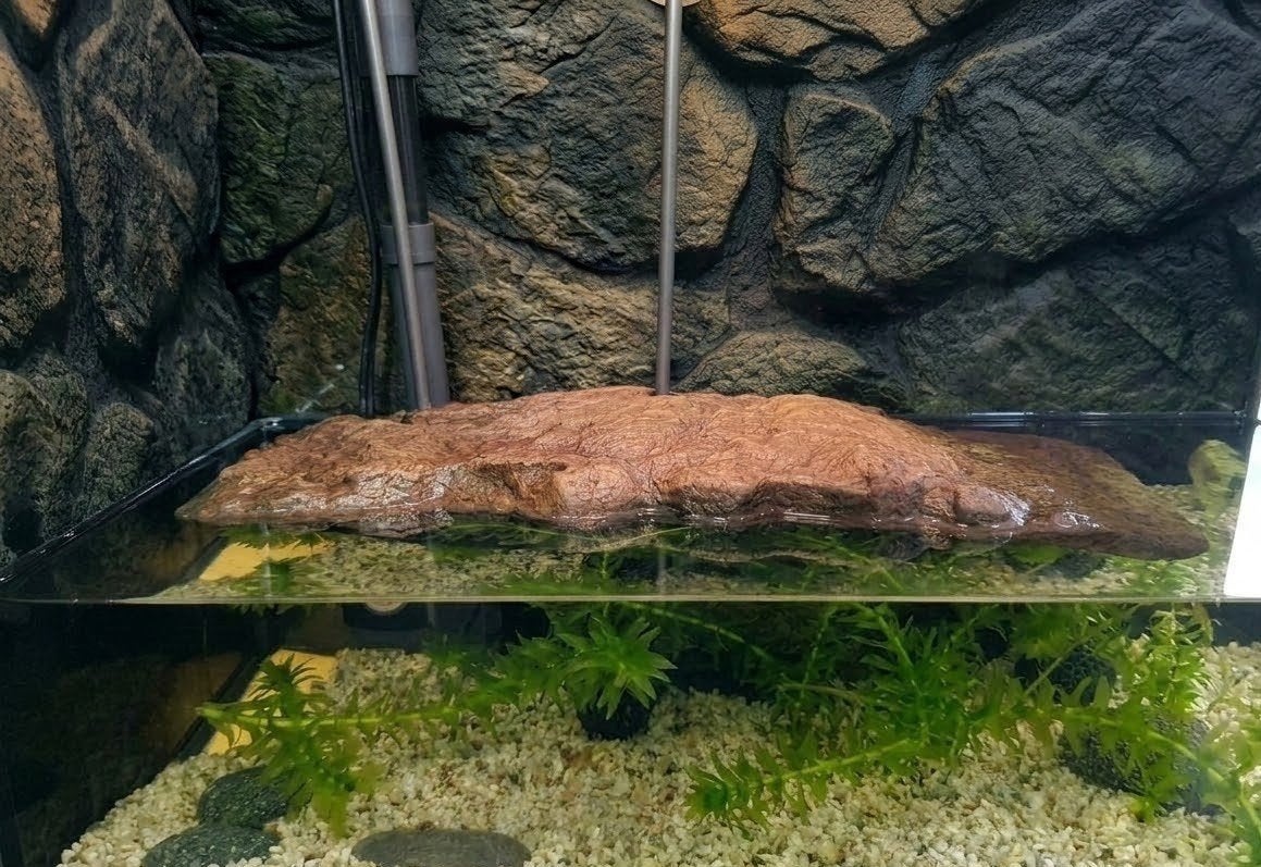 Zoo Med Turtle Dock schildpad, Ophalen, Gebruikt