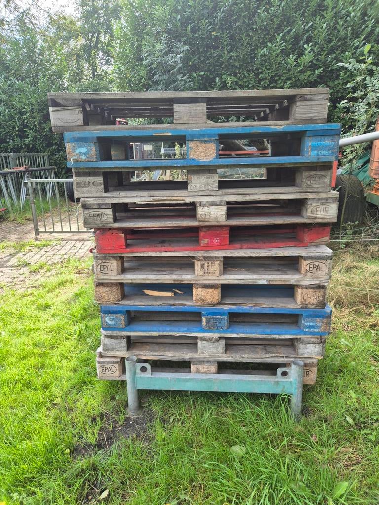 Gebruikte pallets - Diverse kleuren en maten, Ophalen, Gebruikt, 50 mm of meer, Pallet