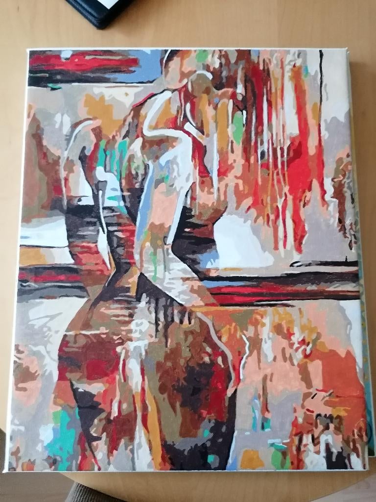 Canvas schilderij, Ophalen, Minder dan 50 cm, 50 tot 75 cm, Zo goed als nieuw