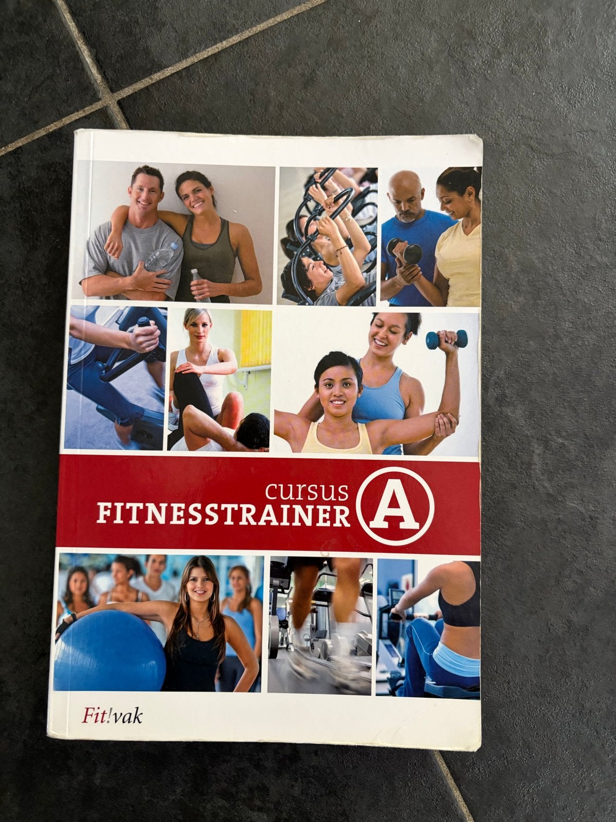 Cursus Fitnesstrainer A Boek - Fit!vak, Ophalen of Verzenden, Beta, Zo goed als nieuw, MBO