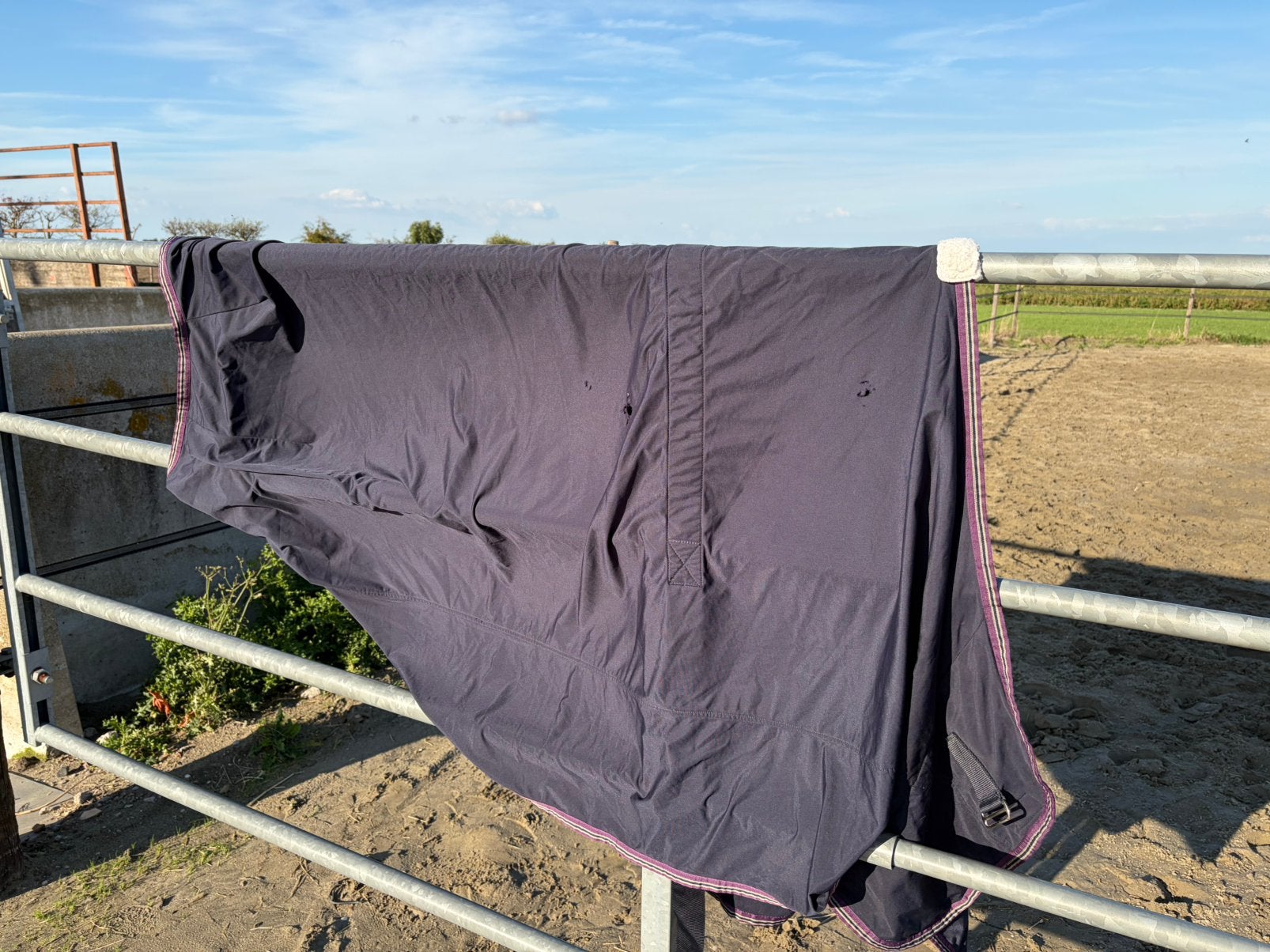 Weatherbeeta cooler maat 185, Ophalen of Verzenden, Gebruikt, Paars, Zweetdeken