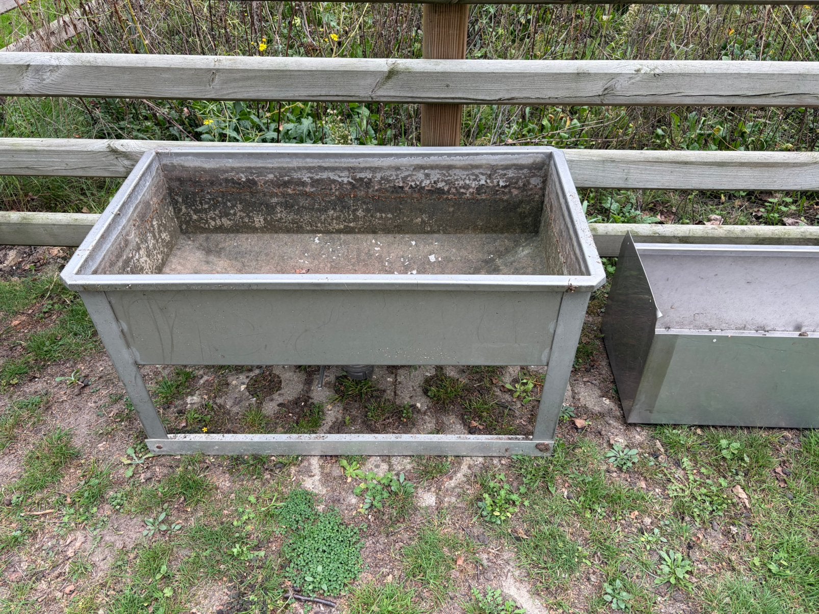 Drink bakken, Dieren en Toebehoren, Meerdere dieren, Schaap