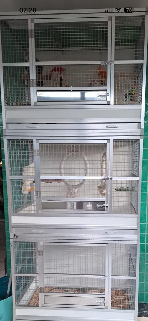 Papegaaienkooi, Dieren en Toebehoren, Ophalen of Verzenden, Zo goed als nieuw, Metaal, Vogelkooi