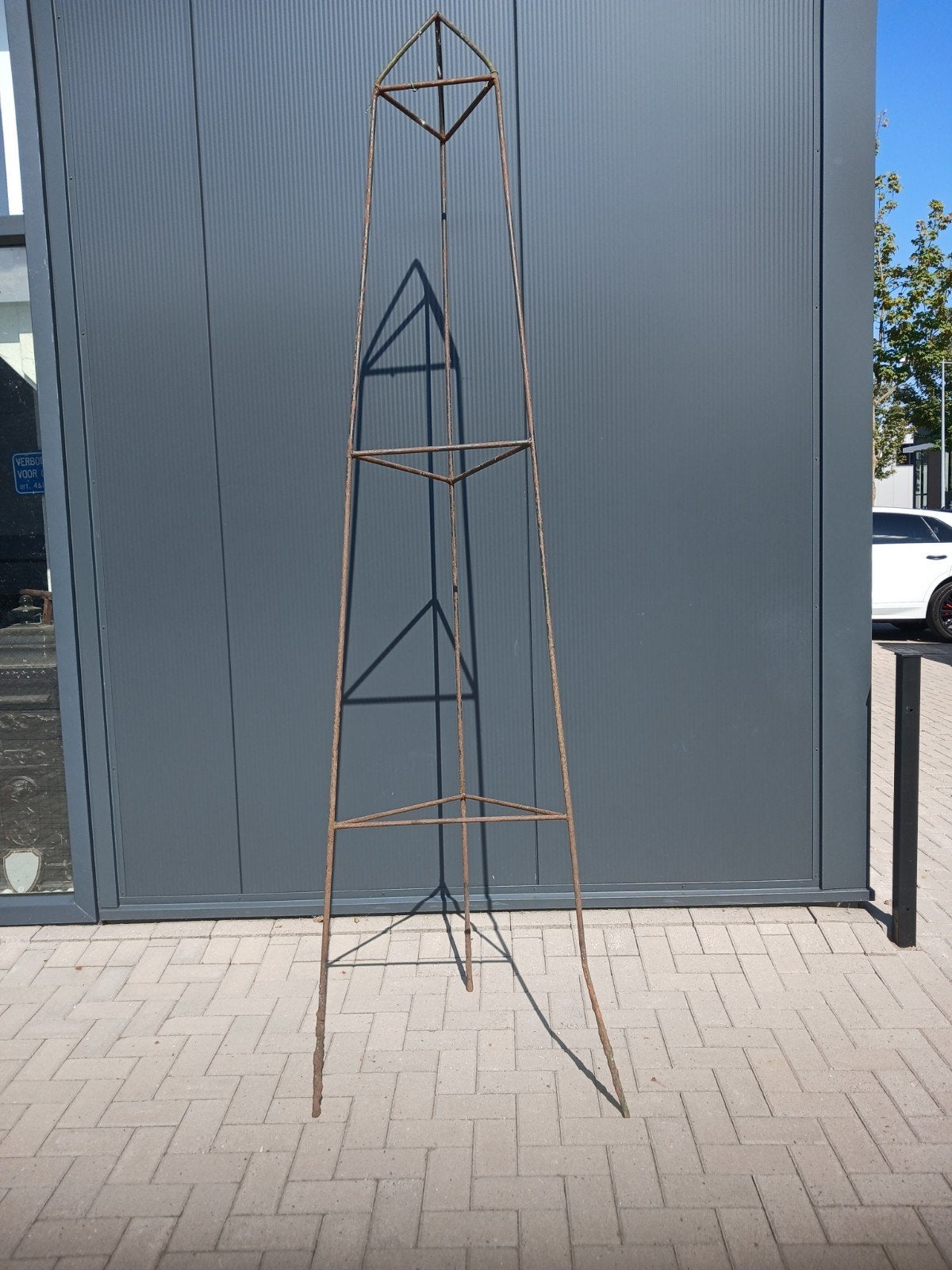 Metalen klimrek voor planten - roestig en decoratief, Ophalen, Bloeit niet, Klimplanten, Volle zon