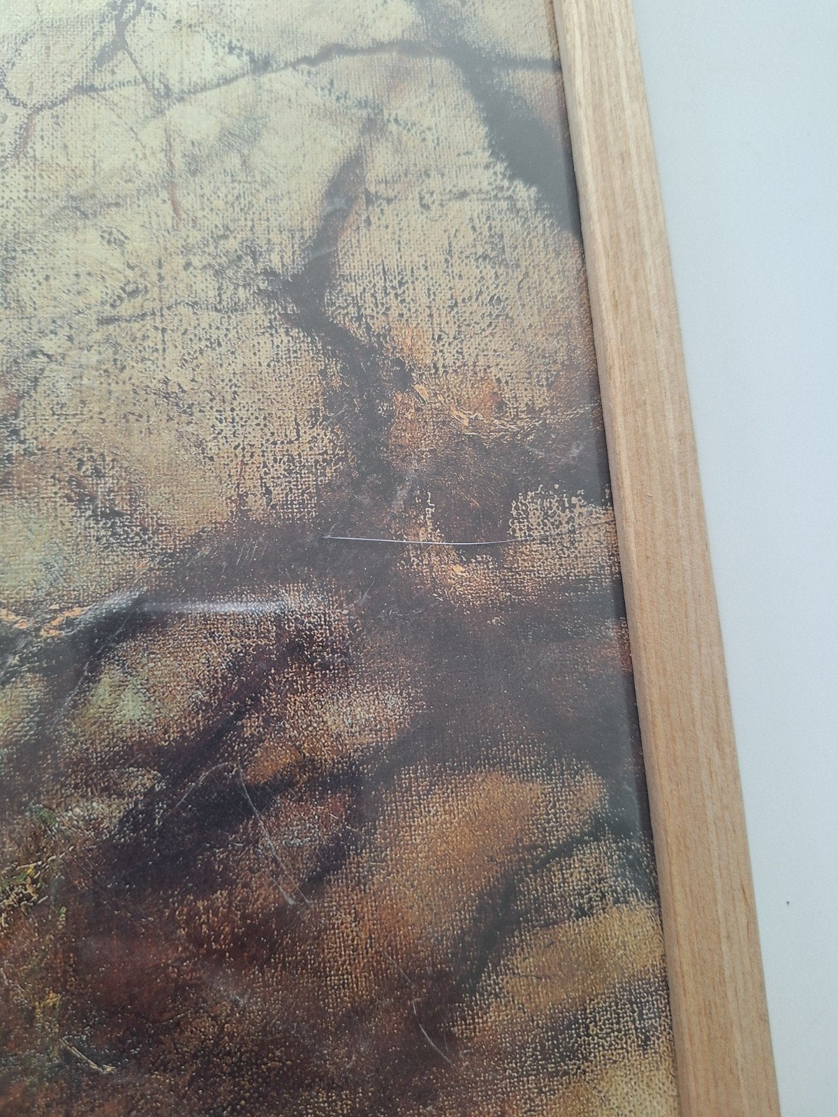 Ingelijste prent Zwijn van Rien Poortvliet, Antiek en Kunst, Ophalen of Verzenden