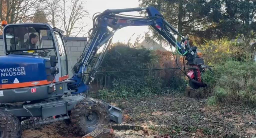 Foto 7 van Boomstronk verwijderen stobbenfrees Limburg