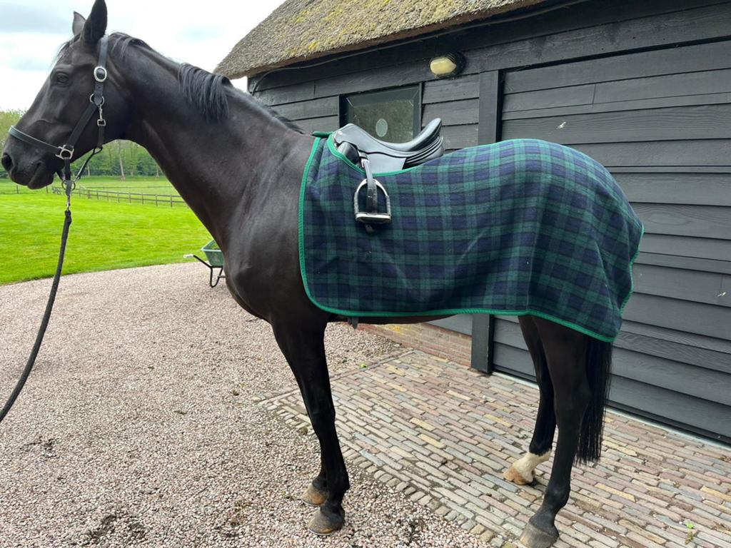 Mooie wollen uitrijdeken handgemaakte, Dieren en Toebehoren, Paarden en Pony's | Overige Paardenspullen, Ophalen of Verzenden