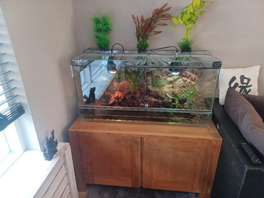 Terrarium / Paludarium 100x40x50 Vol Glas, Ophalen, Nieuw, Terrarium of Paludarium