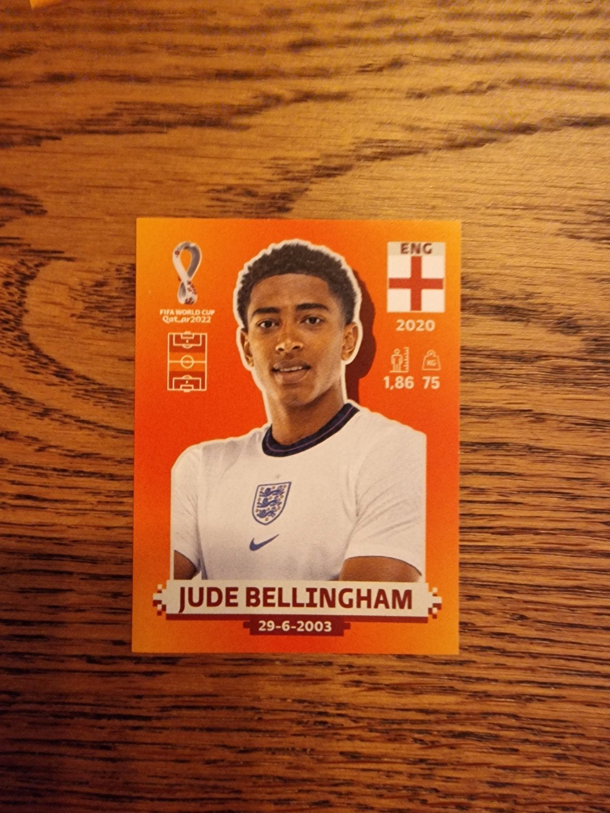 Jude Bellingham Panini sticker 2022, Ophalen of Verzenden, Nieuw, Buitenlandse clubs, Poster, Plaatje of Sticker