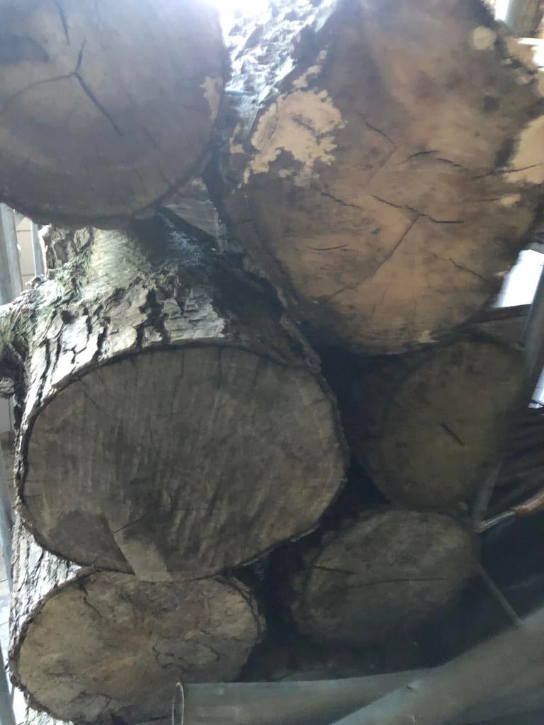 Boomstammen, Minder dan 3 m³, Ophalen of Verzenden