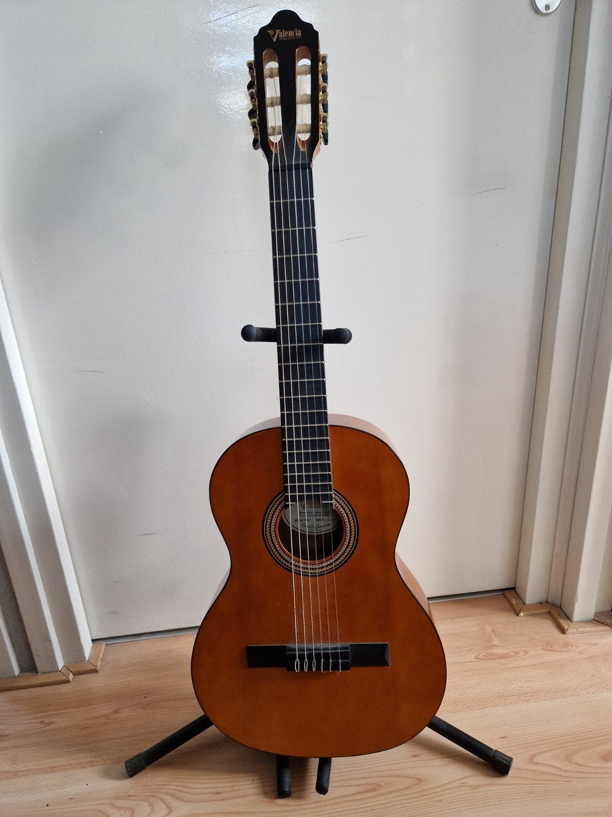 Valencia Klassieke Gitaar met Hoes, Ophalen, Gebruikt, Klassieke of Spaanse gitaar, Met koffer