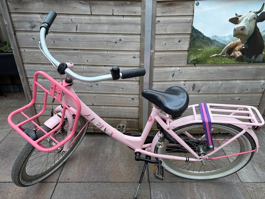 Alpina kinderfiets roze - 22 inch, Ophalen, Gebruikt, 22 inch, Handrem