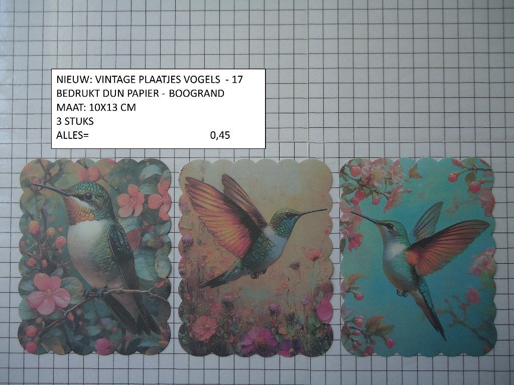⚠️0,25: vintage plaatjes vogels 17 ( alleen verzenden, Hobby en Vrije tijd, Kaarten | Zelf maken, Ophalen, Nieuw, Dieren, Knipvel
