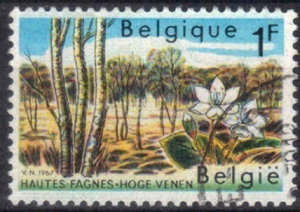 Belgie 1967 - Yvert/OBP 1408 - Natuurbescherming (ST), Verzenden, Gestempeld