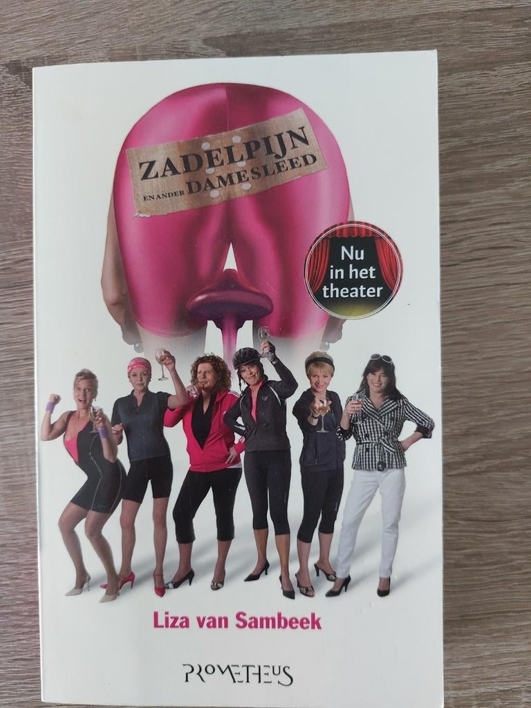 Zadelpijn en ander damesleed - Liza van Sambeek, Boeken, Romans, Gelezen, Nederland, Ophalen of Verzenden