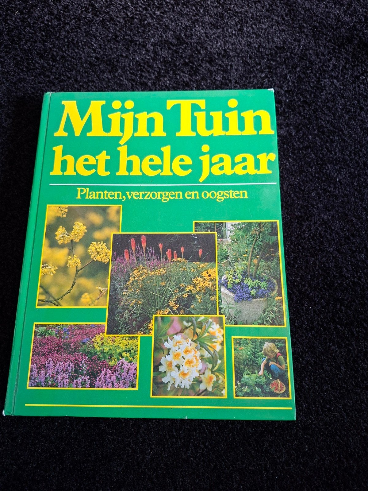 Tuinboeken: Droomtuin, Kleine Tuinen, Doe-het-zelf, Boeken, Ophalen, Gelezen, Bert Huls, David Stevens, Rob Verlinden, Tuinieren en Tuinplanten