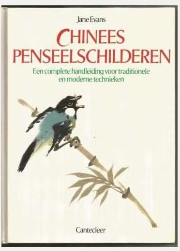 Chinees penseelschilderen - Jane Evans, Ophalen of Verzenden, Nieuw, Tekenen en Schilderen