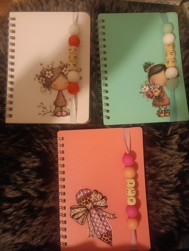 Leuke notitieboekjes met 'JUF' kralen, Ophalen of Verzenden, Nieuw