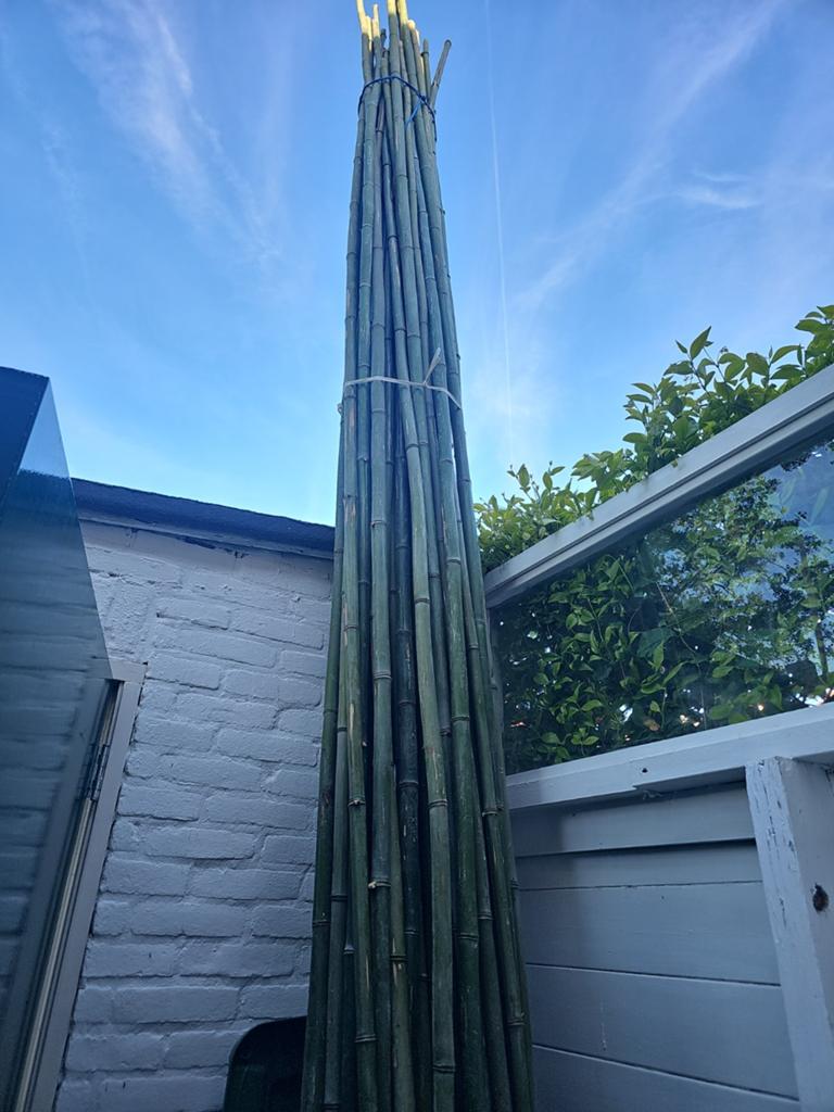 Lange bamboestokken te koop, Ophalen