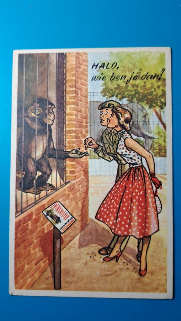 Soldatenhumor Chimpansee salueert, Ophalen of Verzenden, 1960 tot 1980, Ongelopen