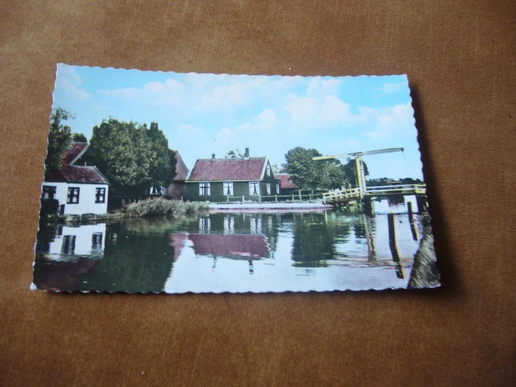 ZAANDAM  =  HAALDERSBROEK, Verzamelen, Ansichtkaarten | Nederland, Ophalen of Verzenden, 1940 tot 1960, Ongelopen, Noord-Holland