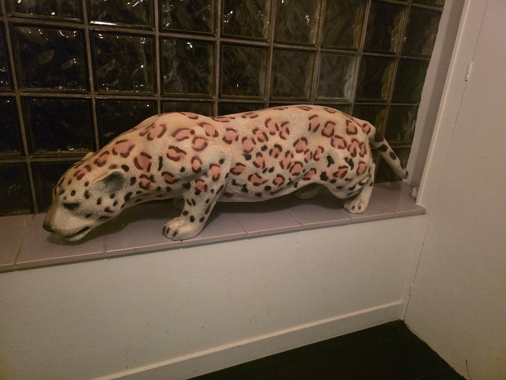 Groot levens echt panter beeld, Ophalen, Zo goed als nieuw, Dier