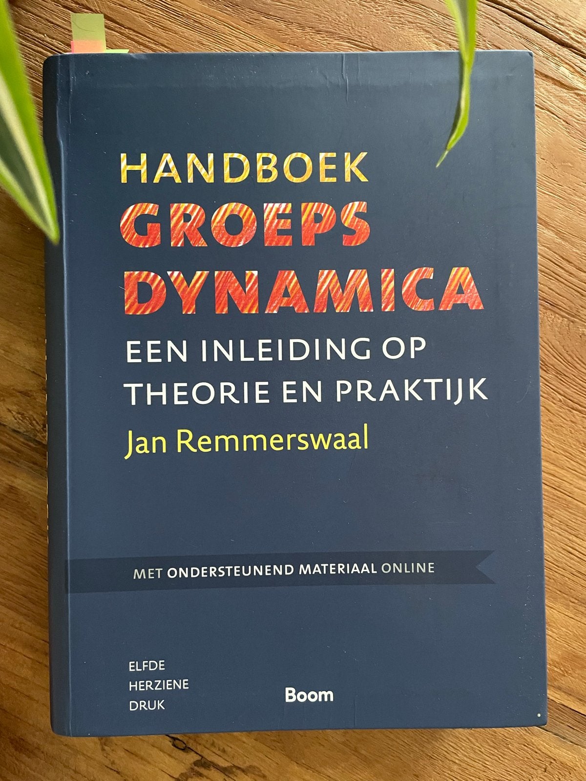 Handboek Groepsdynamica - Jan Remmerswaal, Boeken, Ophalen of Verzenden, Gamma, Zo goed als nieuw, HBO