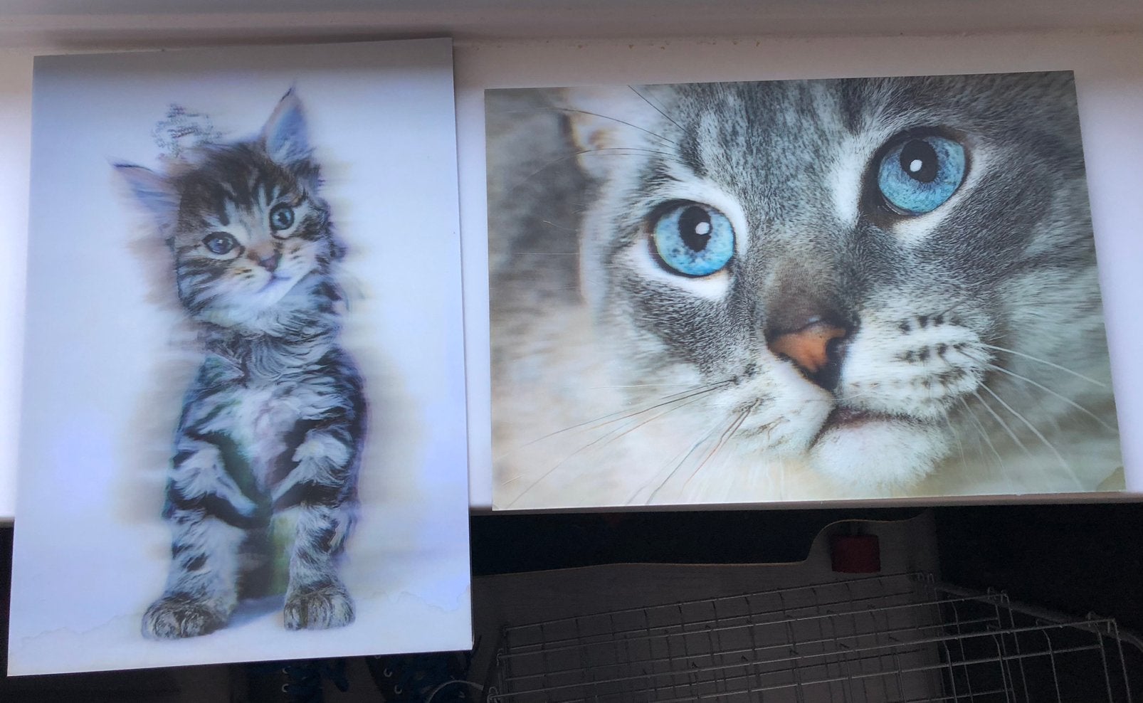 3D Kat schilderijtjes, Ophalen of Verzenden, Zo goed als nieuw, Minder dan 50 cm, Schilderij