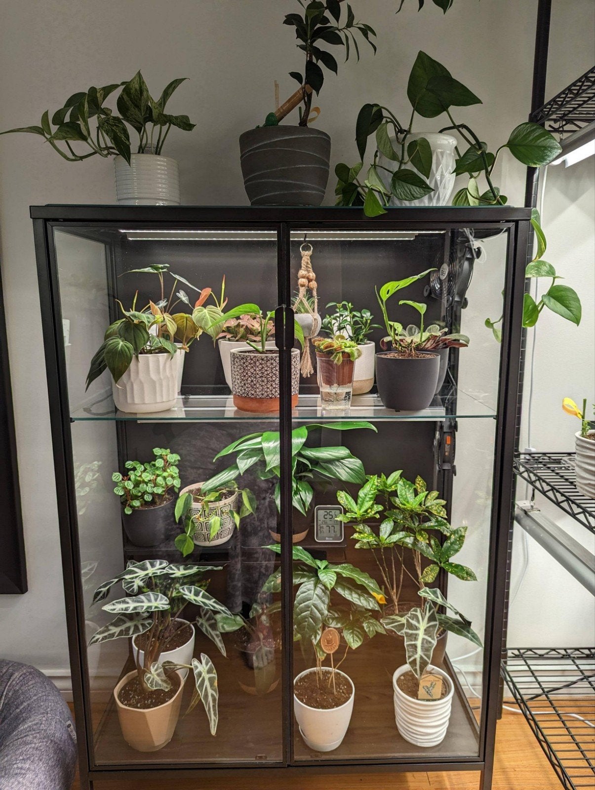 IKEA Rudsta Kweekkast / Plantenkast – Grow setup, 100 tot 150 cm, Glas, Modern, 25 tot 50 cm