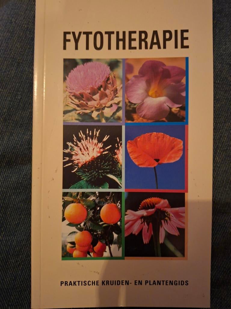 Fythotherapie, Boeken, Onbekend, Achtergrond en Informatie, Ophalen of Verzenden, Zo goed als nieuw