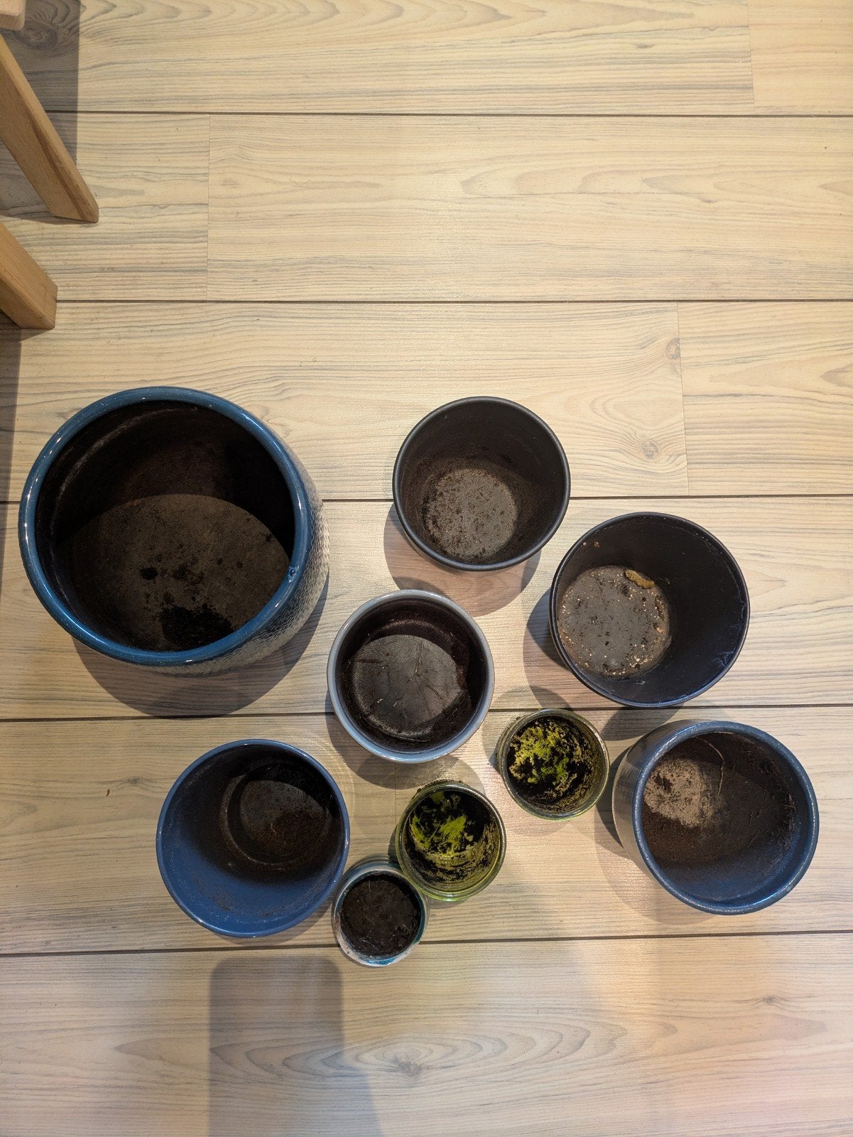 Diverse bloempotten, gebruikt, zwart/blauw, Ophalen, Gebruikt, Aardewerk, Binnen