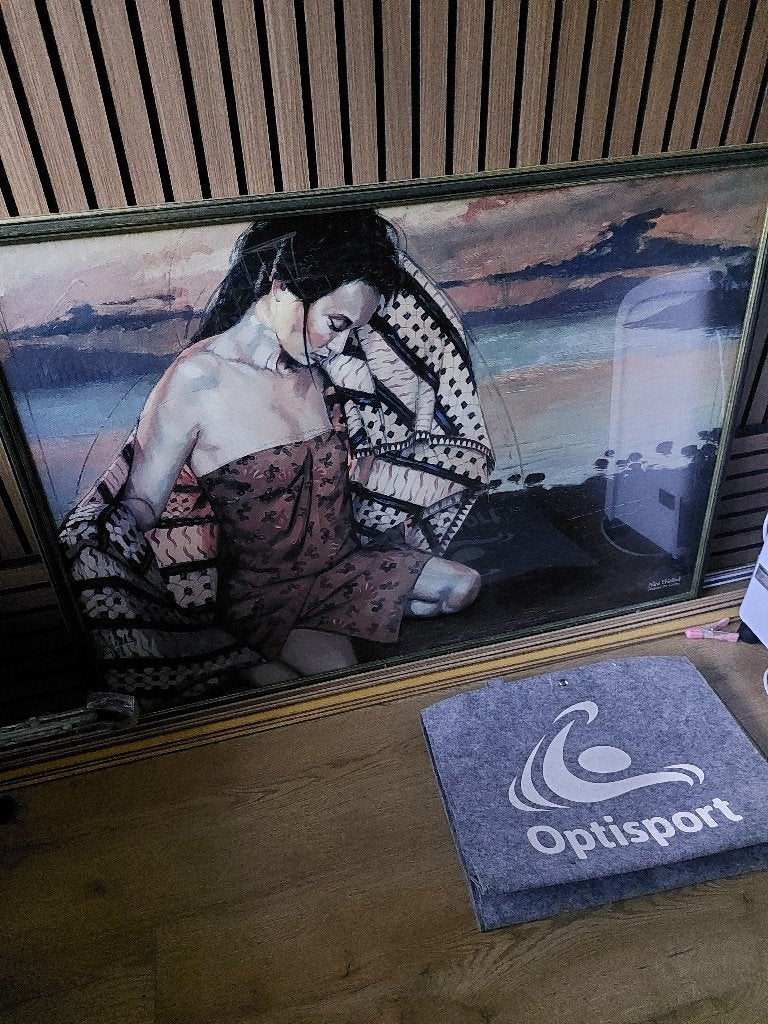 Schilderij aangeboden van Nico Vrielink, Ophalen, 50 – 75, Gebruikt, Oorspronkelijke maker