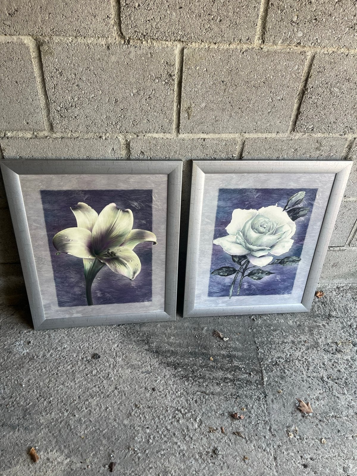 Set van 2 ingelijste bloemenprints, Ophalen, 50 – 75, Minder dan 50 cm, Gebruikt