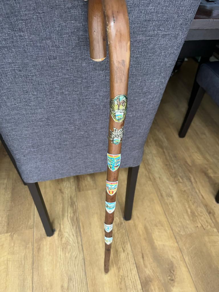 Wandelstok, Diversen, Wandelstokken, Ophalen of Verzenden