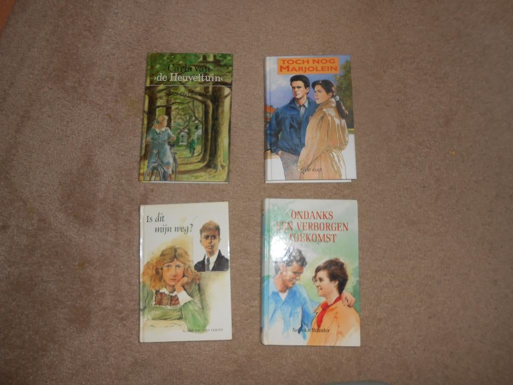 boeken van verschillende schrijvers, Ophalen of Verzenden, Gelezen, Diverse auteurs