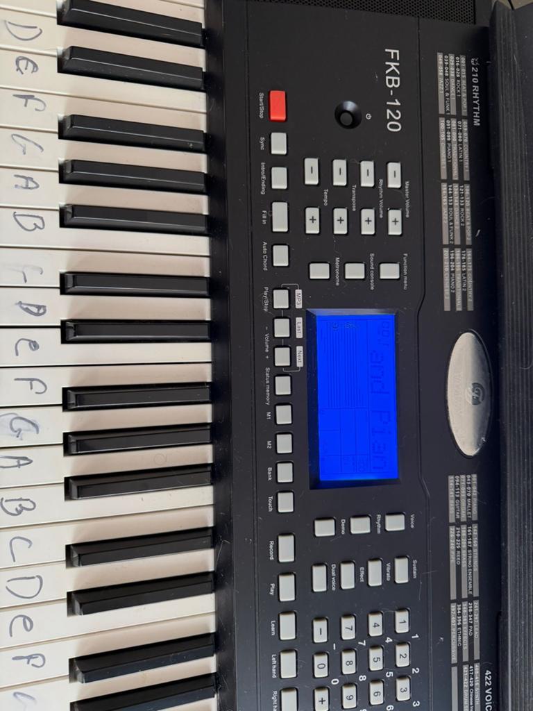 Fazley FKB-120 Elektronisch Keyboard - Gebruikt, Muziek en Instrumenten, Keyboards, Ophalen, Gebruikt, 61 toetsen, Overige merken