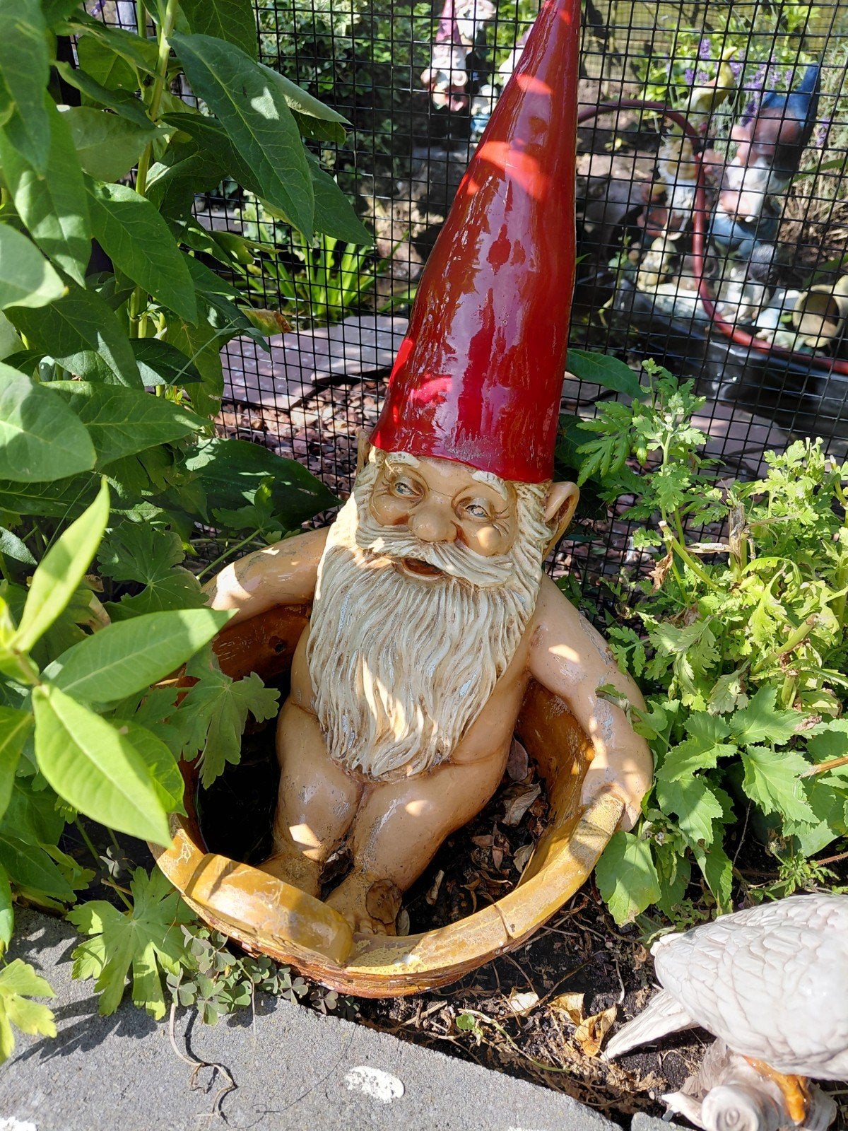 DAVID RIEN POORTVLIET, Tuin en Terras, Tuinbeelden, Ophalen, Nieuw, Kunststof
