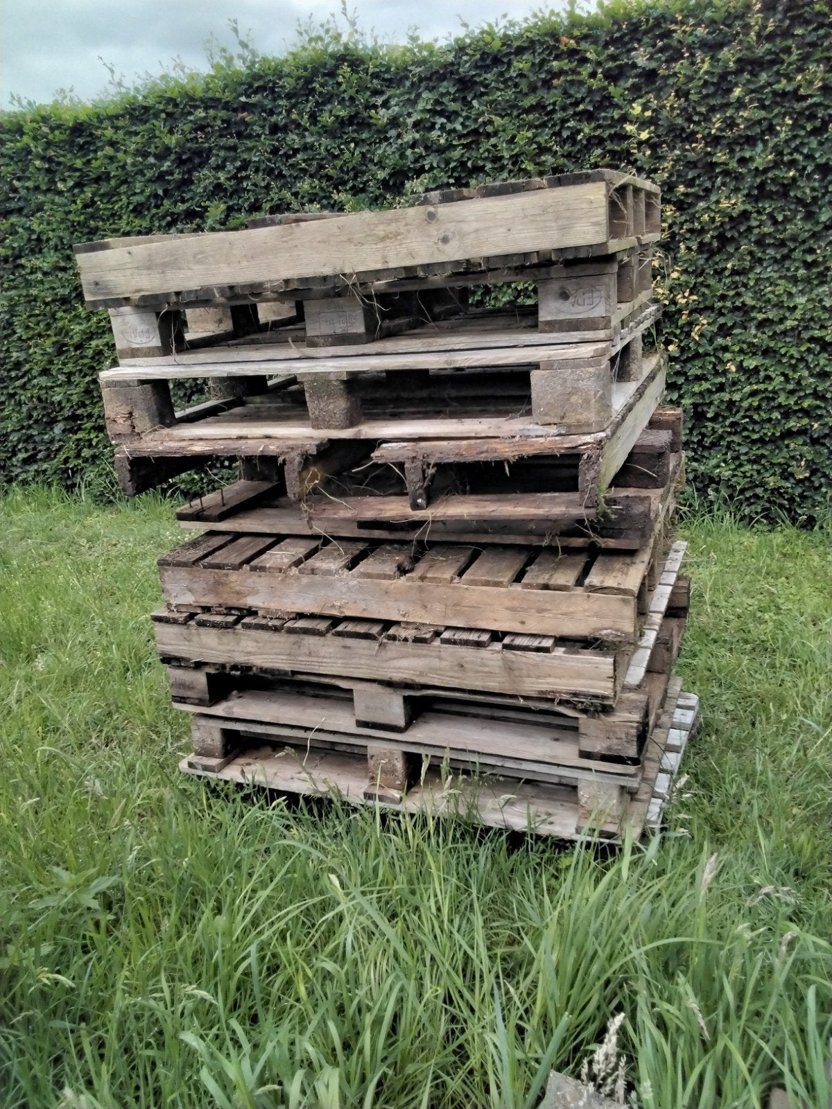 Pallets,  stookhout, gratis af te halen, Ophalen, 50 mm of meer, Pallet, Minder dan 200 cm