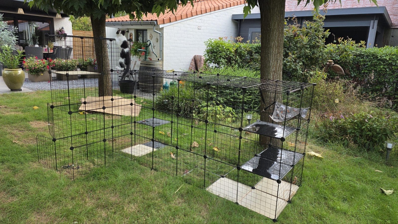 kattenren, Dieren en Toebehoren, Katten-accessoires, Ophalen