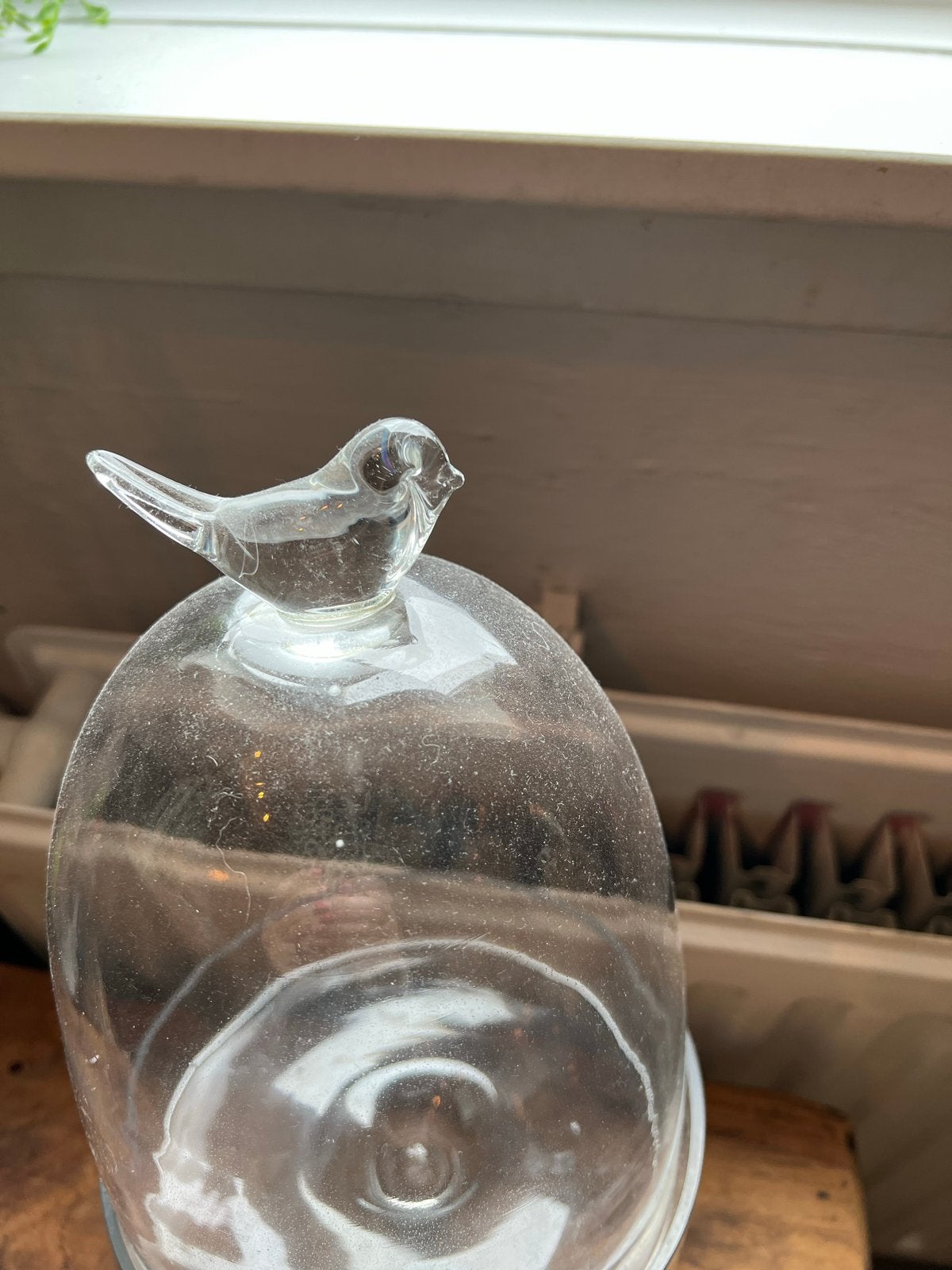Glazen stolp met deksel en vogel, Glas, Ophalen, Zo goed als nieuw, Met deksel