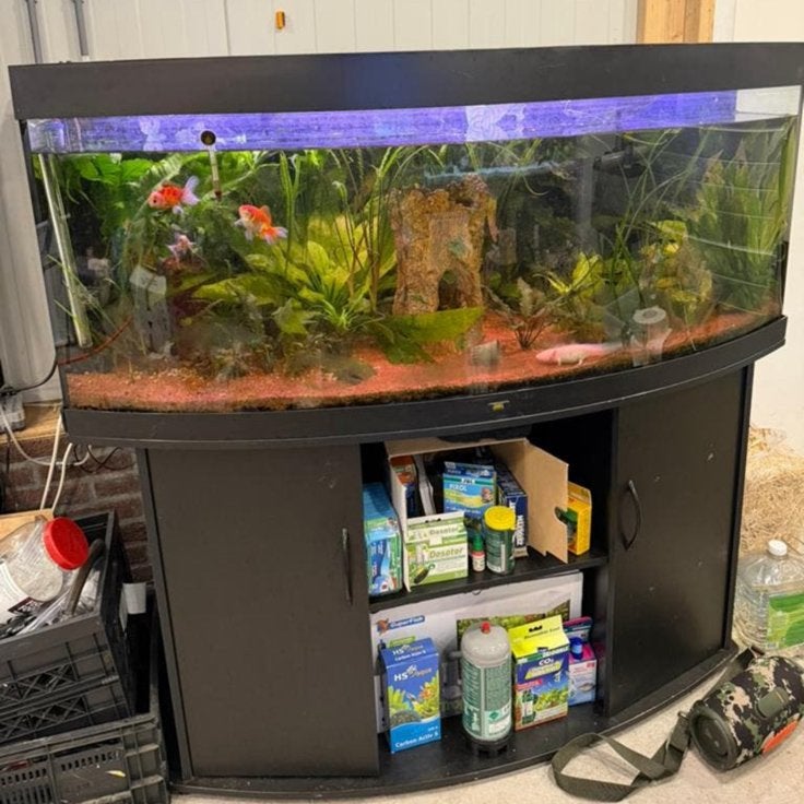 Juwel vision 450 mooi beplant (eventueel met axolotl’s), Ophalen, Gebruikt, Leeg aquarium