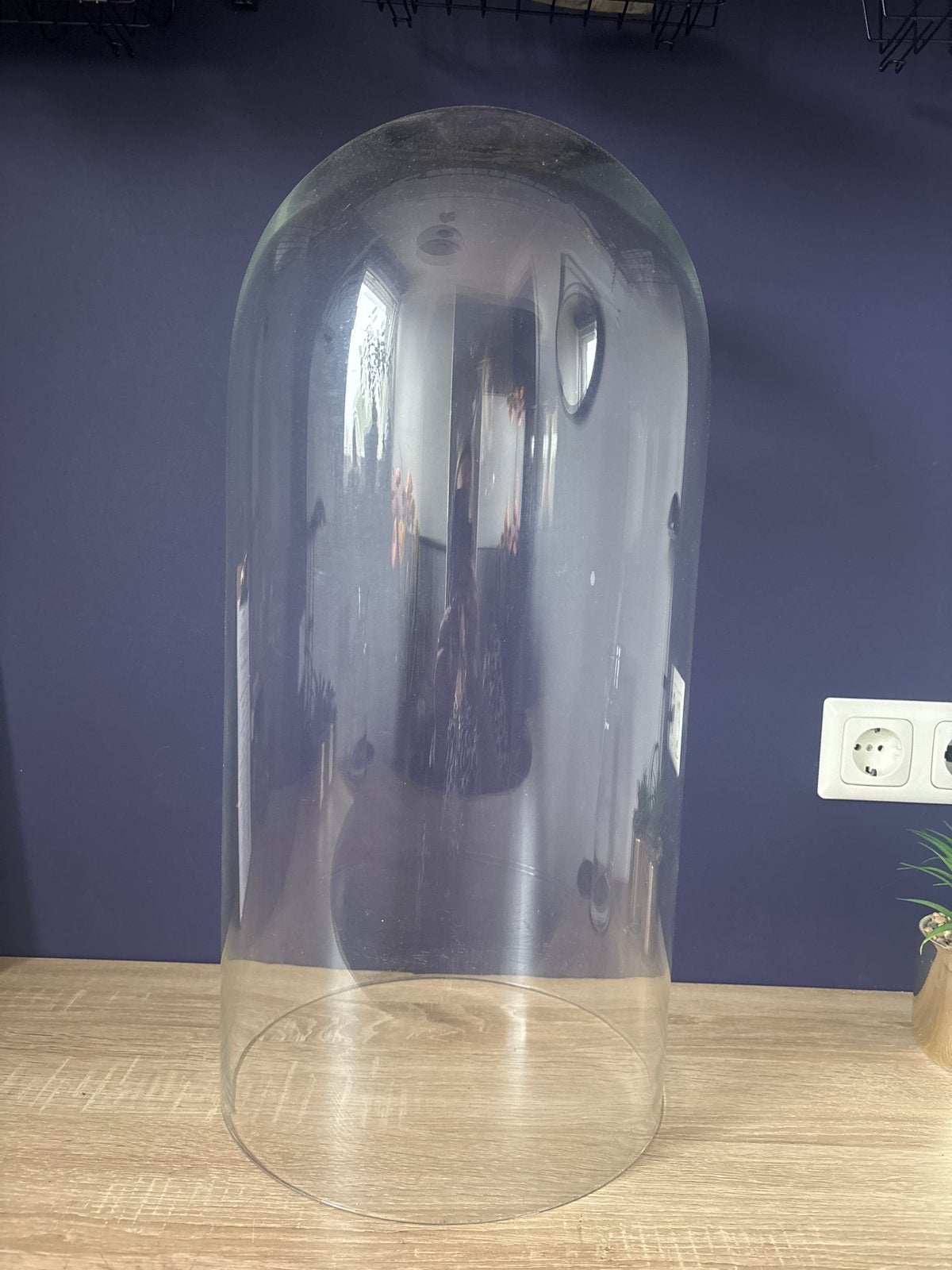 Grote glazen stolp - 60 cm hoog, Glas, Ophalen, Gebruikt