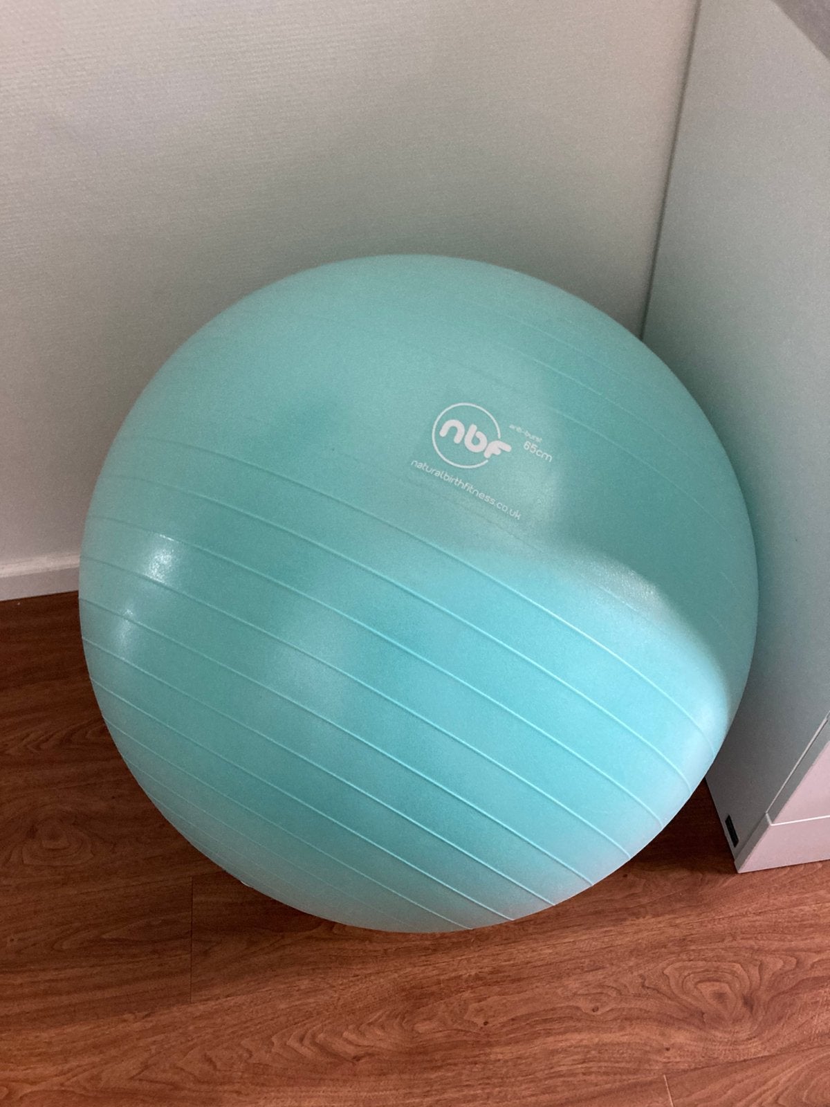 Natural Birth & Fitness Ball 65cm, Ophalen of Verzenden, Nieuw