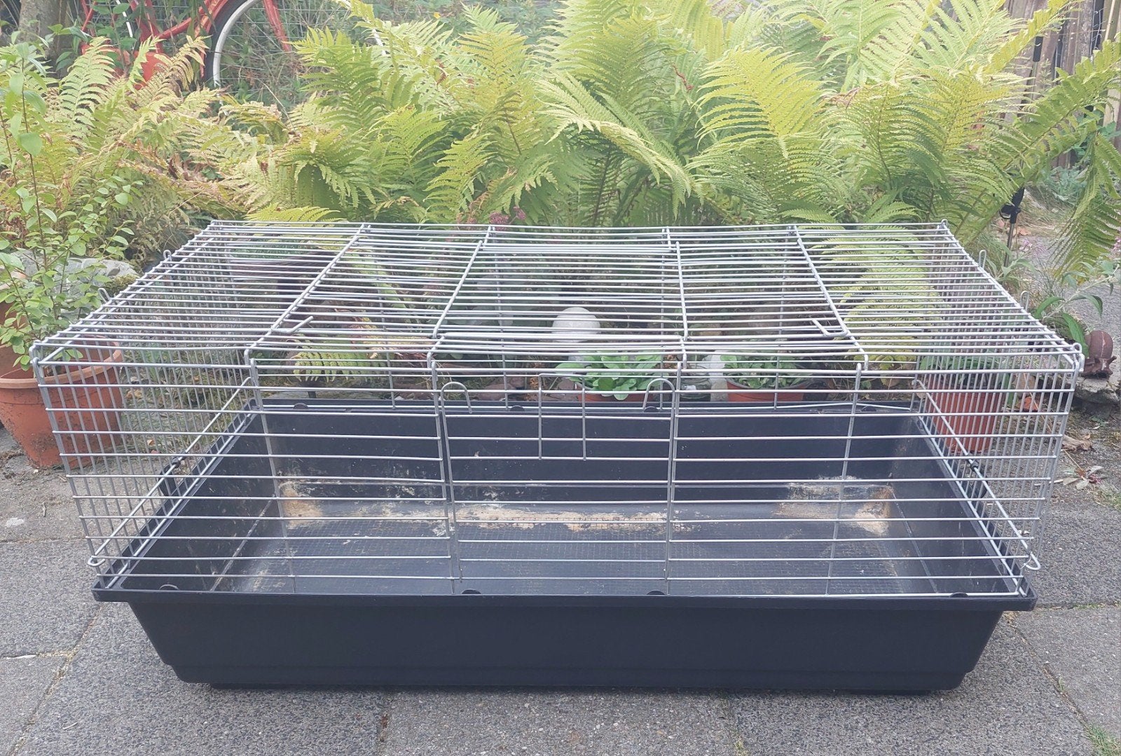 Cavia/konijnenhok XL, Gebruikt, Hok, 75 tot 110 cm, Cavia